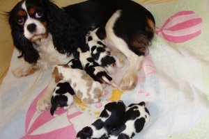 Rodzina sie powiekszyła